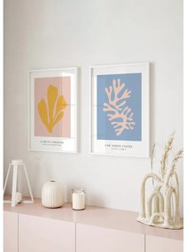 Pure of coral kép