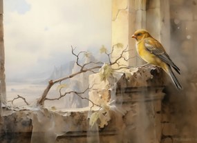 Poszter 55x40cm Kanári a szélen