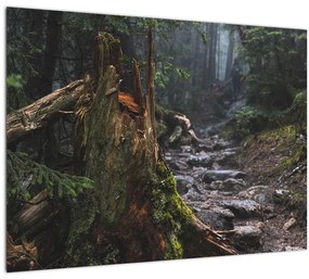 Kép - Az erdőben (üvegen) (70x50 cm)