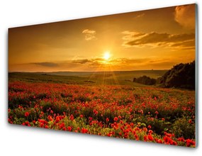 Modern üvegkép Szakterület Pipacsok Sunset Meadow 100x50 cm 2 fogas