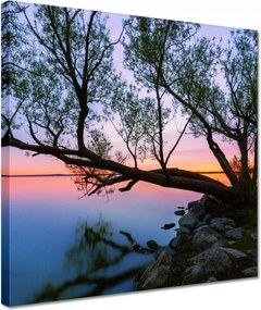 Vászonkép 30x30 Sziklák Fa Tó
