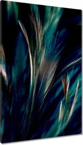 Vászonkép 80x120 Puha pávatollak