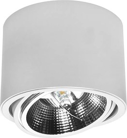 DOMENOLED 448 DOWNLIGHT Hengeres Mennyezeti Lámpa Fehér GU10/AR111 IP20