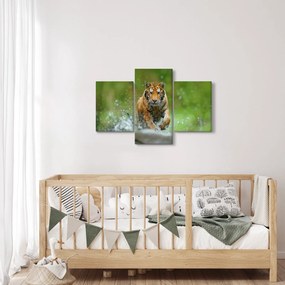 Kép - Futó tigris (90x60 cm)