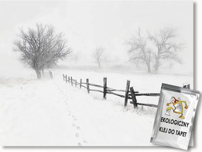 Fotótapéta Flizelina Tájkép Tél Hó Fagy Hófúvás Köd Nyom 254x184 ragasztó