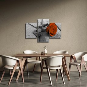 Kép - Narancs Rózsa (90x60 cm)