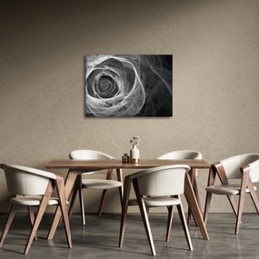 Kép - Absztrakt rózsa fekete-fehér (70x50 cm)