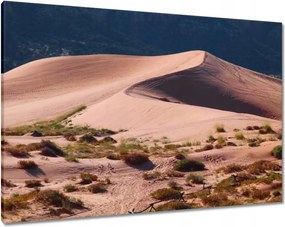 Vászonkép 100x70 Sivatagi kilátás