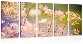 5-részes kép virág csendélet