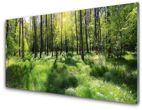 Üvegfotó Forest Grass Nature Plant 125x50 cm 4 fogas