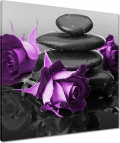 Vászonkép 60x60 Lila rózsák Spa kő