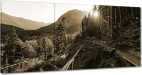 Festmények 180x90 Szépia tájkép Szépia