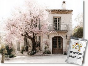 Fotótapéta Flizelina Tájkép Provence Villa Virágok Fa 312x219 ragasztó