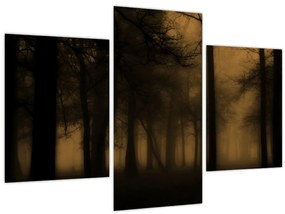 Kép - Sötét erdő (90x60 cm)