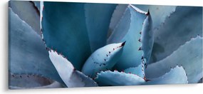 Kép - Agave (120x50 cm)
