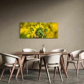 Napraforgó képe (120x50 cm)