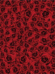 Fotótapéta Vörös rózsák Bársony kert színmélység 206x275 +ragasztó