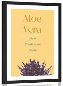 Poszter paszportuval stílusos felirattal Aloe Vera