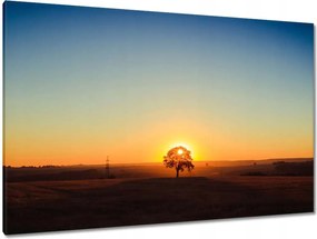 Festmények 120x80 Kilátás Tájkép