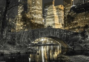 Poszter 29,7x21cm Esti kilátás a New York-i Central Parkra 2, Assaf Fra