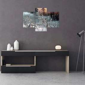 Kép - Fagyott rét (90x60 cm)