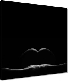 Vászonkép 40x40 Aktok Meztelenség Szerelem Fotó