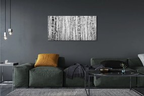 Üvegképek Fekete-fehér nyír 120x60cm