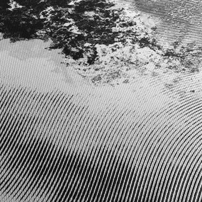 Kép - Kikeltetés (120x50 cm)