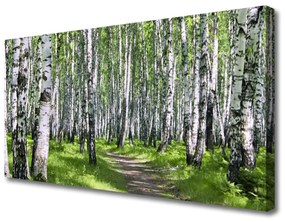 Vászonfotó Erdei fák természet Path 100x50 cm