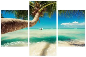 Kristálytiszta tenger és a pálmafa képe (90x60 cm)