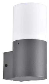 Kültéri fali lámpa DALLAS 1xE27/12W/230V IP44 antracit
