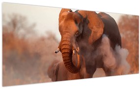 Kép - Nagy afrikai elefánt (120x50 cm)