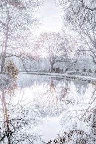 Poszter 40x60cm Csatorna fákkal, Assaf Frank