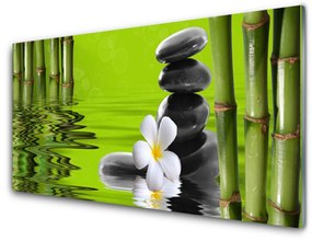 Fali üvegkép Stones bambusz növény 140x70 cm