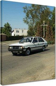 Vászonkép 30x40 Polonez Borewicz Fso