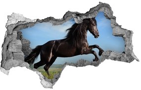3d lyuk fal dekoráció Fekete ló a réten nd-b-26473191