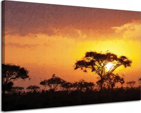 Vászonkép Szavanna Fa Naplemente 120x80 cm Ideális ajándék