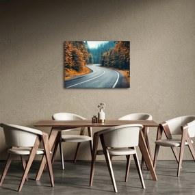 Kép - Kanyargós út (70x50 cm)