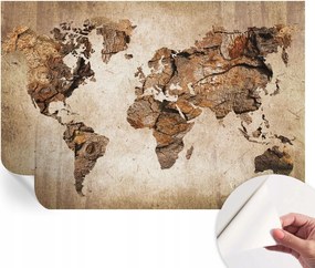 Öntapadós fotótapéta Nappali és Hálószoba irodába Fa térkép 152x104