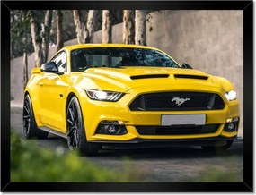 Poszterek keretben 40x30 Sárga fenevad Amerikából