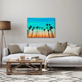 Kép - Kalifornia (70x50 cm)