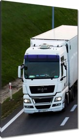 Vászonkép 80x120 Man nyergesvontató