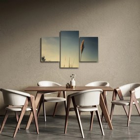 A fű képe (90x60 cm)