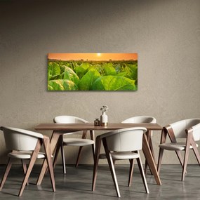 Kép - Mező (120x50 cm)