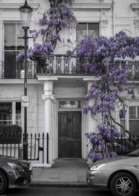 Poszter 42x59,4cm Ház a Portobello úton 2, Assaf Frank