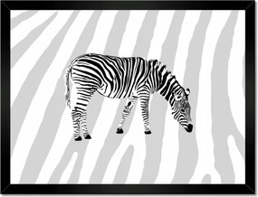 Poszterek keretben 40x30 Zebra csíkos