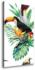 Vászonkép Trópusi madarak ocv-82973697