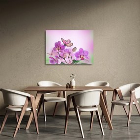 Üveg kép - Pillangó orchidea virágon, lila (70x50 cm)