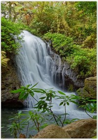 Poszterek 70x100 Vízesés Tájképek