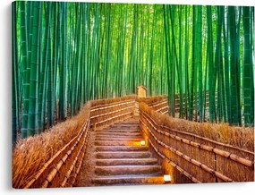 Kép - Japán bambusz erdő (70x50 cm)